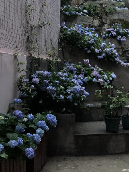 SHAREPINNK Guesthouse Over view