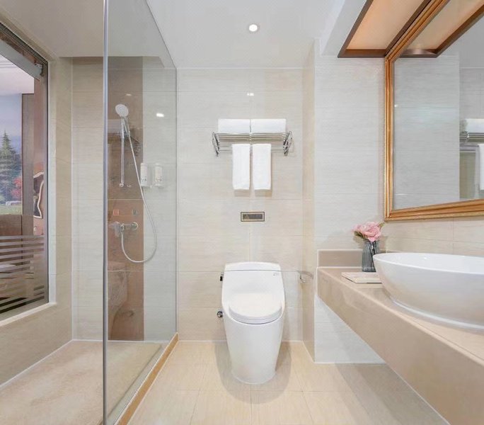 Vienna Hotel (Dacheng)Guest Room