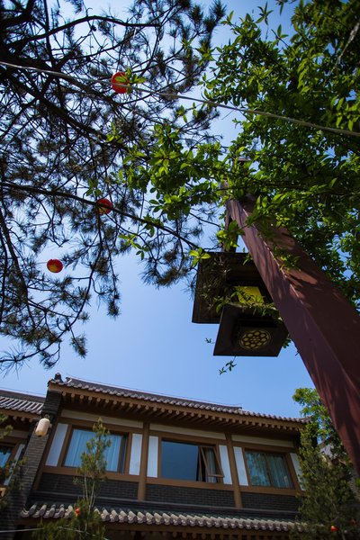 Guanlan B & B (Luoyang Longmen Grottoes ticket gate store) Over view